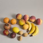 1754&nbsp;8082&nbsp;Stenfrukter